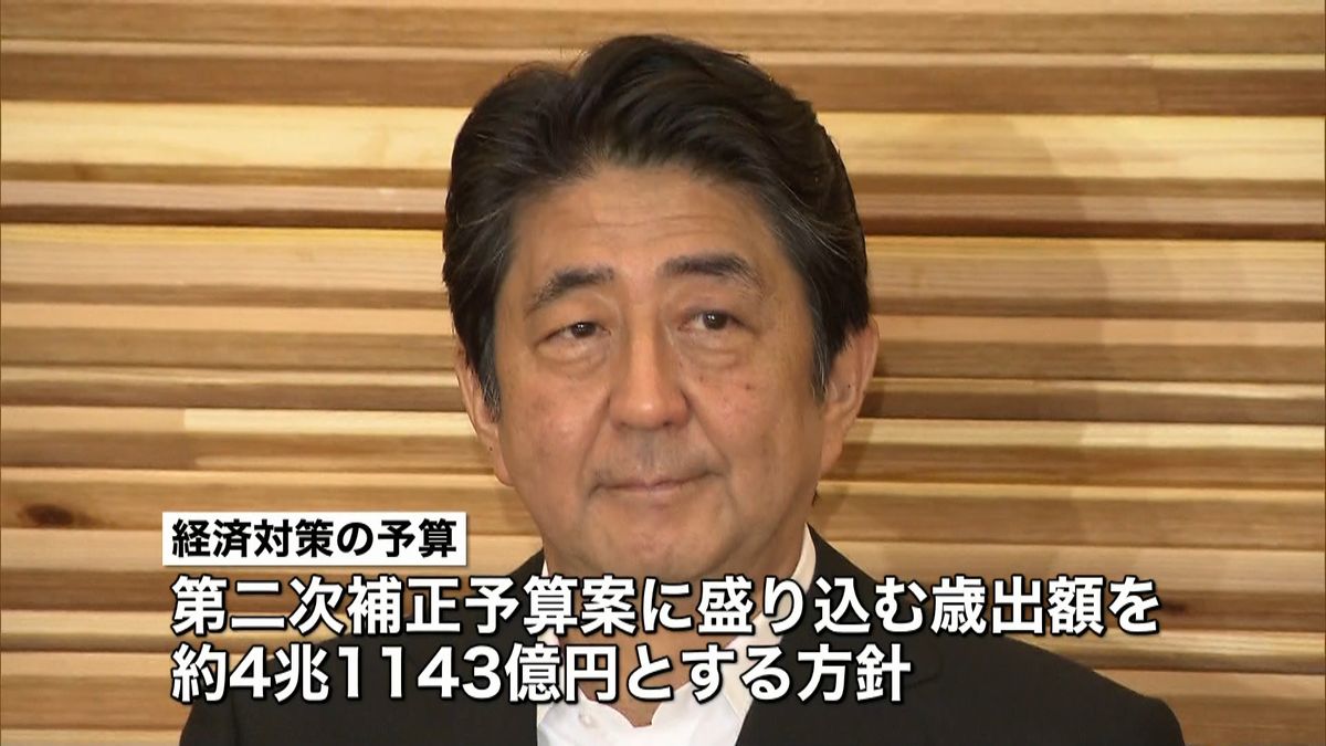 補正予算案の歳出額は４兆１１４３億円に