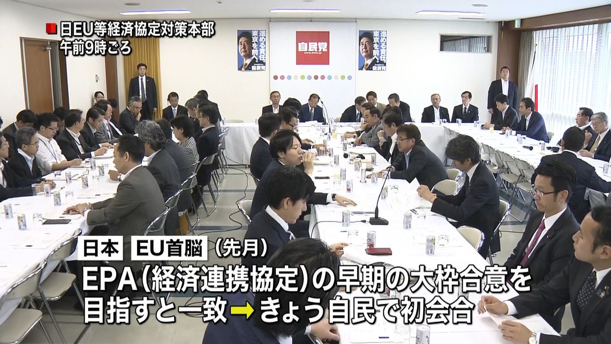 日本・ＥＵ貿易交渉　自民対策本部が初会合