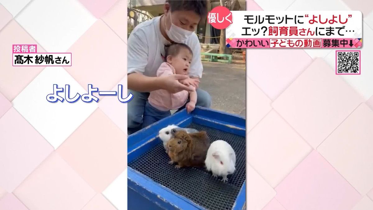 モルモットにやさしく“よしよし”…エっ？　飼育員さんにまで！？