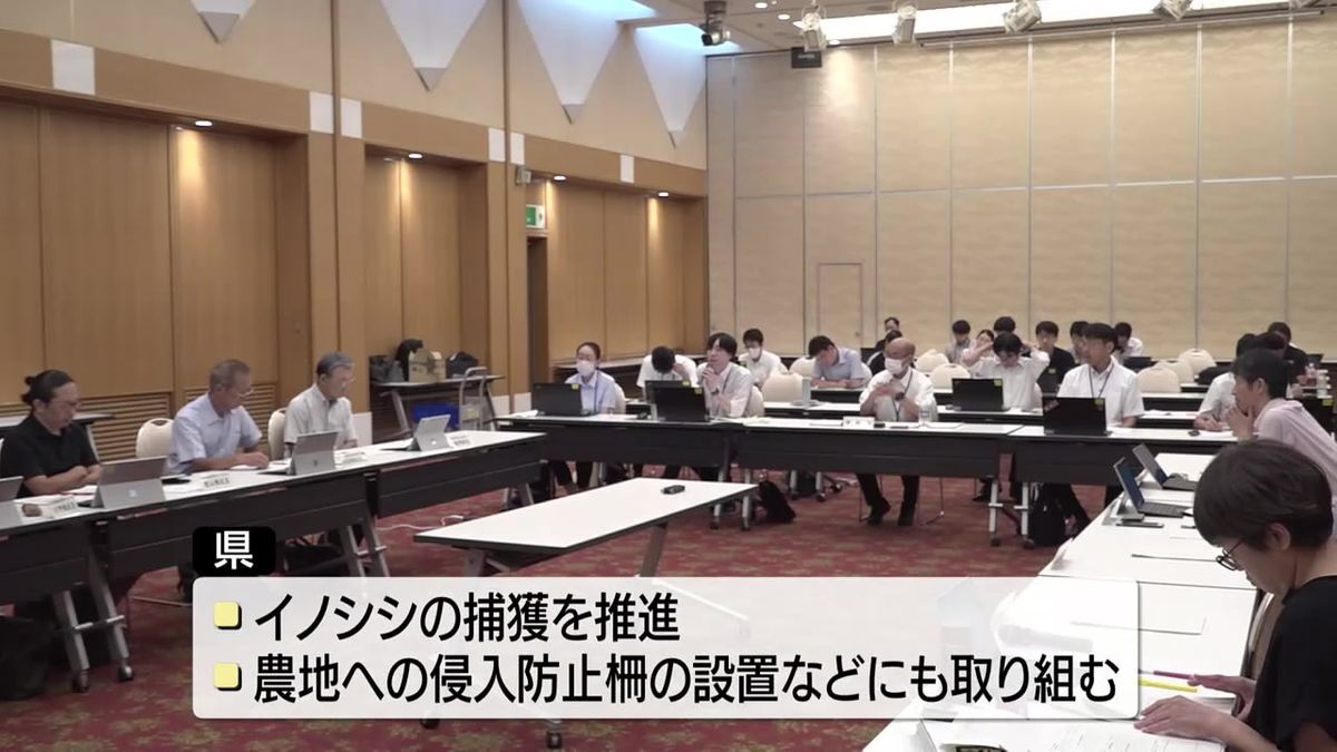 【イノシシによる農作物被害過去最大】岩手の昨年度被害額6000万円超　「県内にイノシシ定着」と考えられる