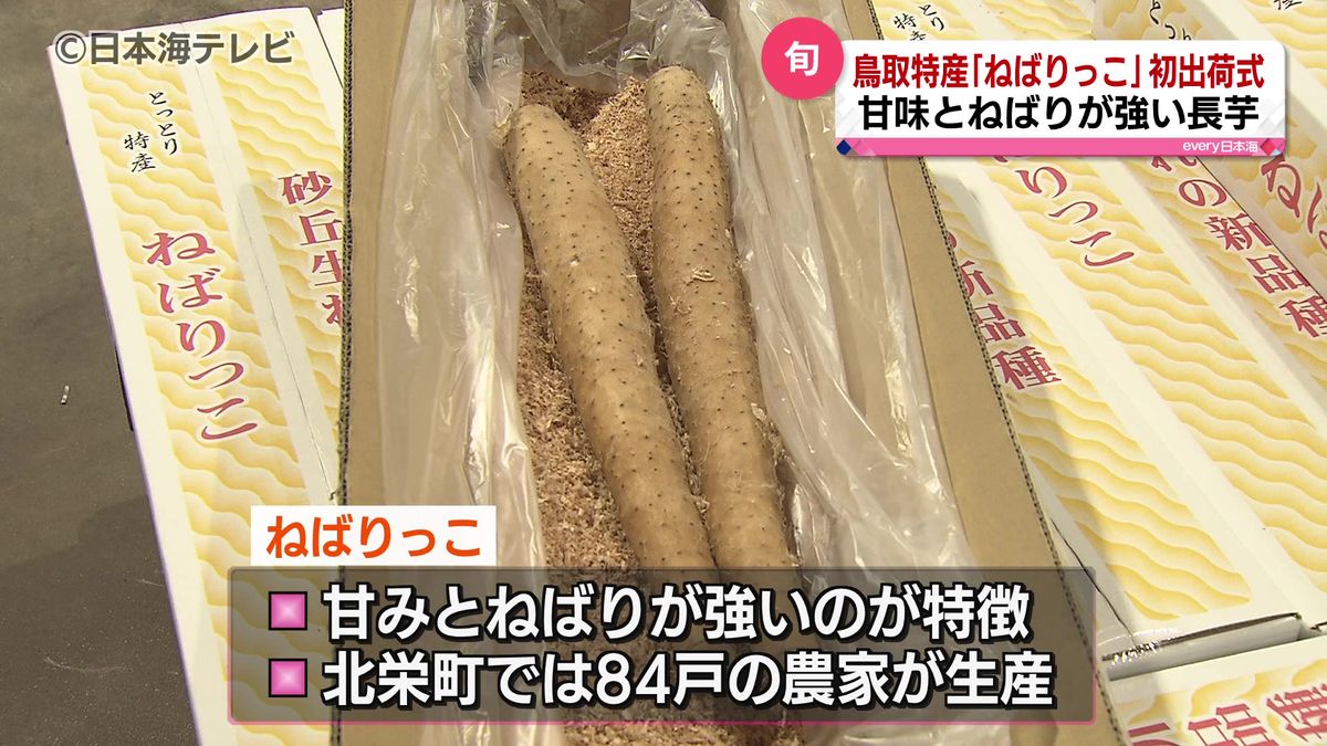 “甘み”も“ねばり”も強い特産長芋「ねばりっこ」の収穫が最盛期　初出荷式にJA・生産者など出席　鳥取県北栄町