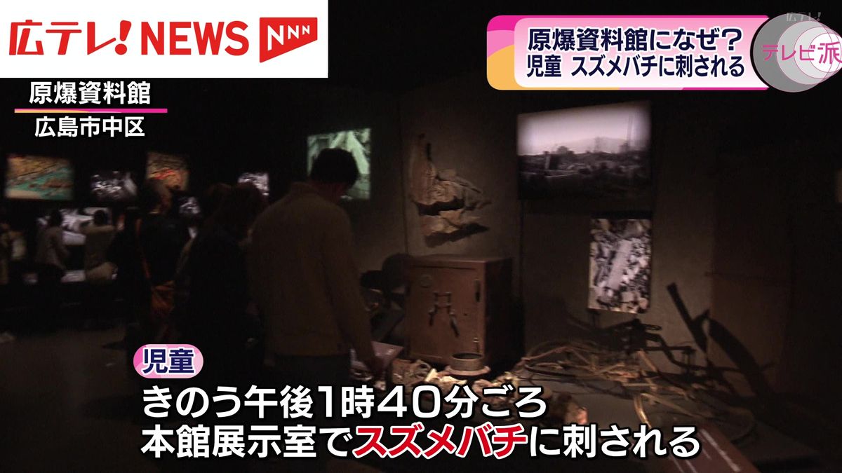 広島市の原爆資料館で児童がスズメバチに刺される