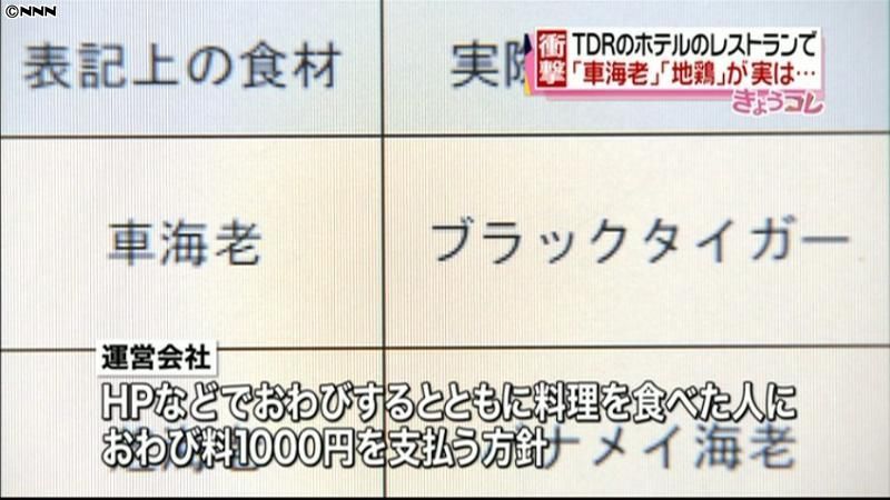 ＴＤＲ、メニュー表示と異なる食材を提供