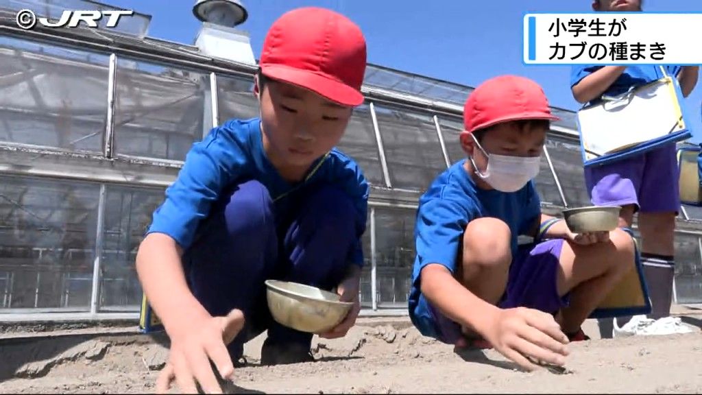 小学生がカブの種まき　農業の大切さを高校生と一緒に学ぶ【徳島】