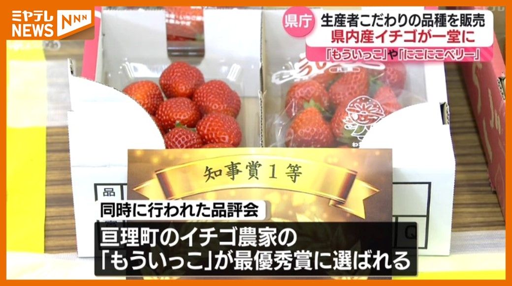 「決め手は食感と味、そして後味」生産者自慢の品ばかり…宮城県産イチゴの販売会　19日も開催（宮城県庁）