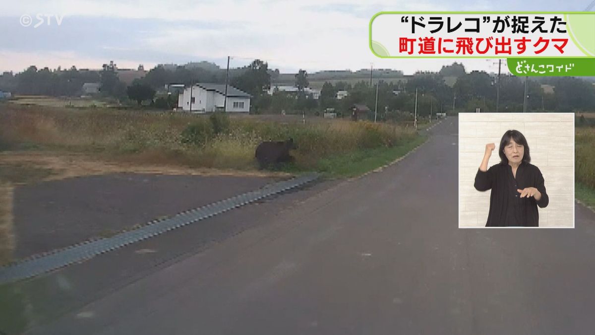 早朝の急ブレーキ「危ね！」目の前にクマ！１１秒あまりの恐怖の瞬間がこれだ　北海道上富良野町