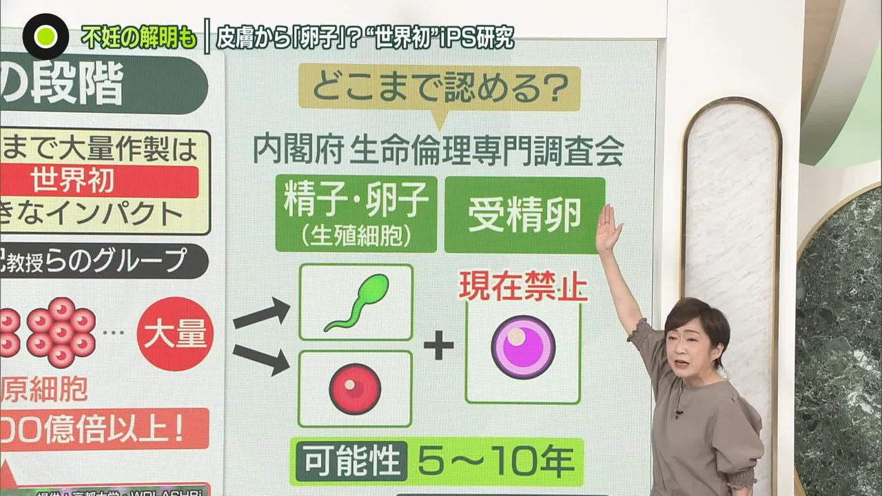 髪の毛」から子どもが？──iPS研究で“世界初”の進展 「不妊症」「生命」のナゾ解明に期待  死者から誕生も？…未来の心配は（2024年5月21日掲載）｜日テレNEWS NNN