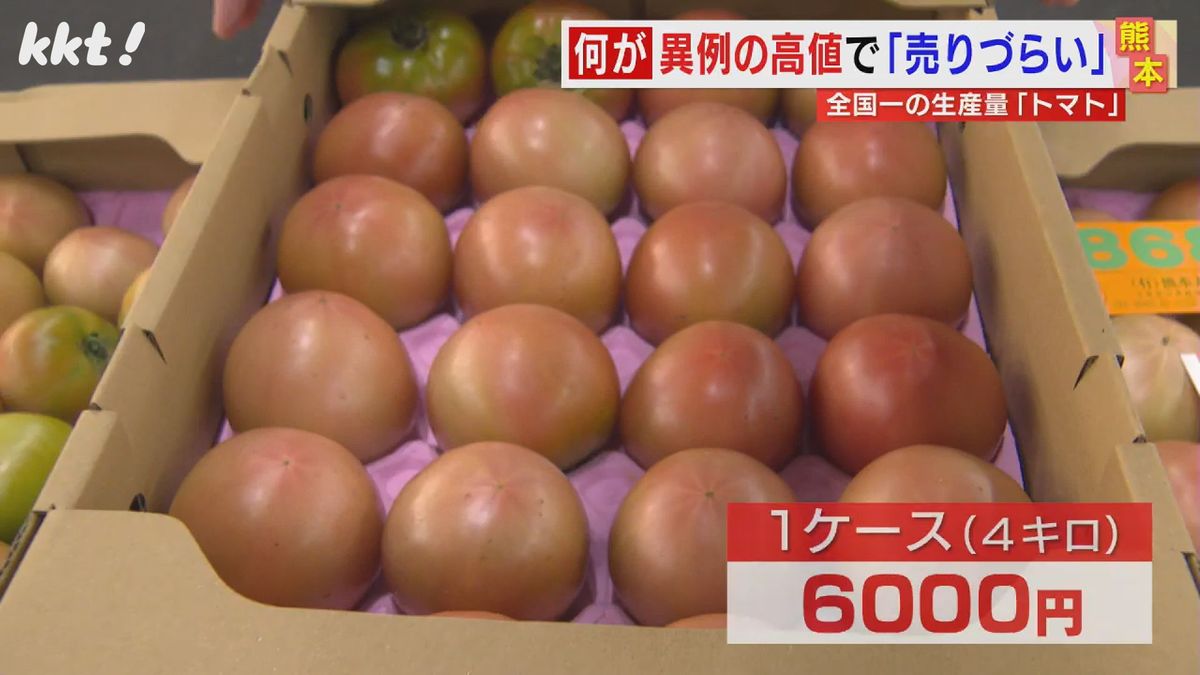 【家計直撃】生産量全国一の熊本でもトマトが高い!1玉400円で取引の日も 値段が下がるのはいつ?
