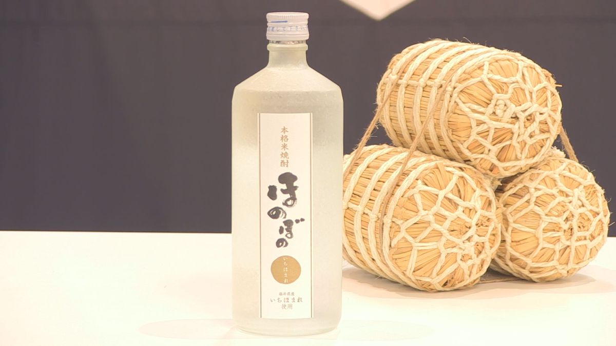 「優しい甘さ」が特徴　福井県のブランド米「いちほまれ」の焼酎をJA県経済連が販売へ　