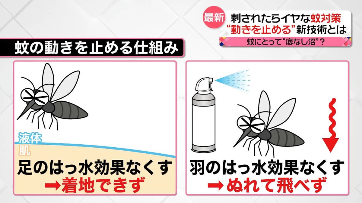 殺虫成分を使わずに「蚊」を駆除？　“殺さずに動きを止める”新技術を発表