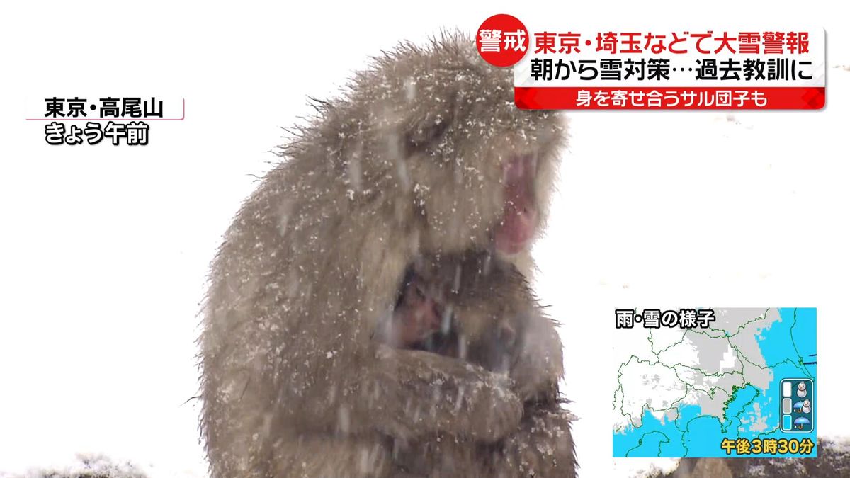 関東甲信地方で大雪　坂道で進めず…渋滞も　凍える寒さにサルも身を寄せ合う