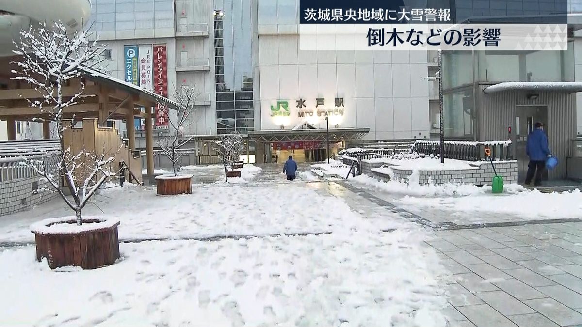 水戸市内で積雪9センチ　夜中も雪が降り続き…積雪増加