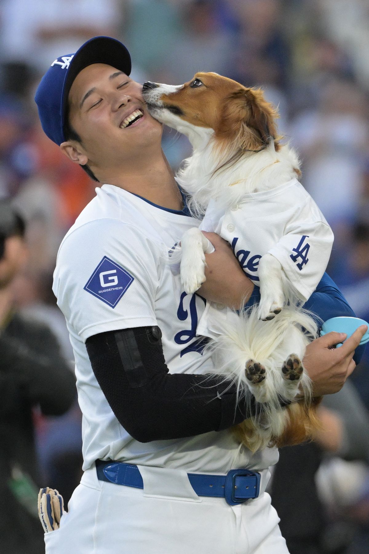 「伝説的」「史上最高の写真」大谷翔平＆デコピンの始球式写真が半年の時を経てMLB公式が高画質で投稿