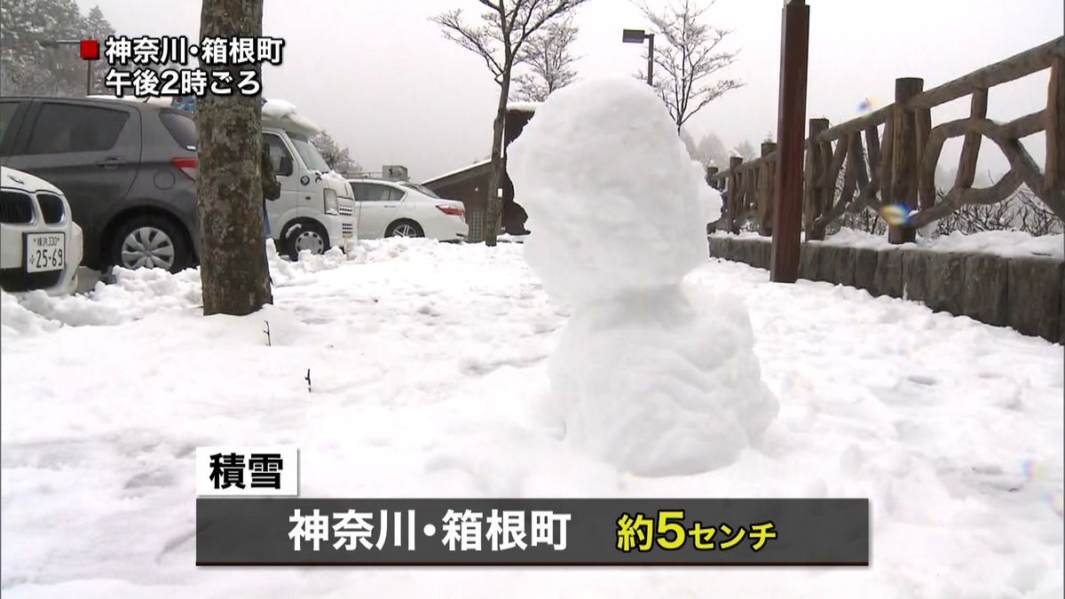 真冬並み寒さ　神奈川・箱根町で積雪５ｃｍ