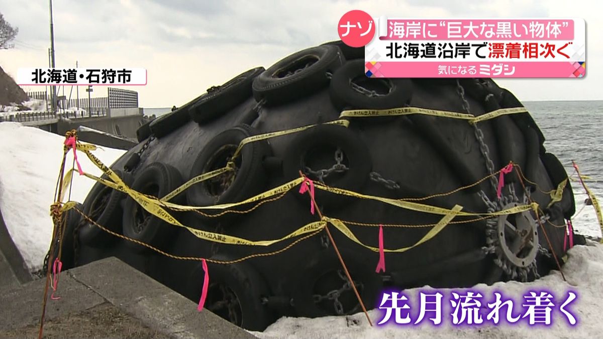 “巨大な黒い物体”が海岸に…北海道で漂着相次ぐ
