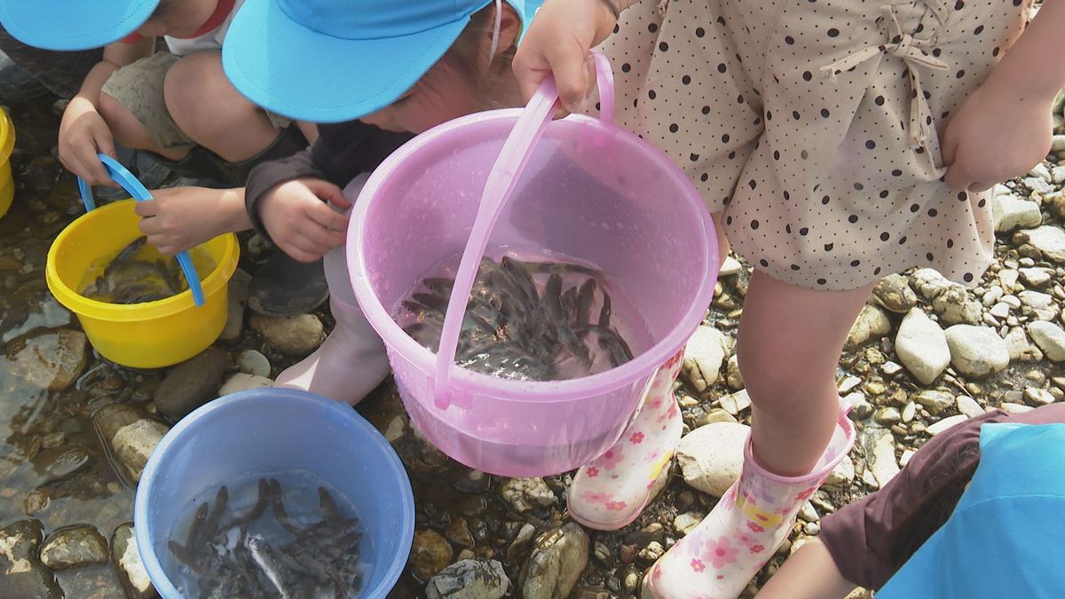 「大きくなってね」6月1日の“アユ漁解禁”に向け 大洲市の肱川で園児たちが稚アユを放流