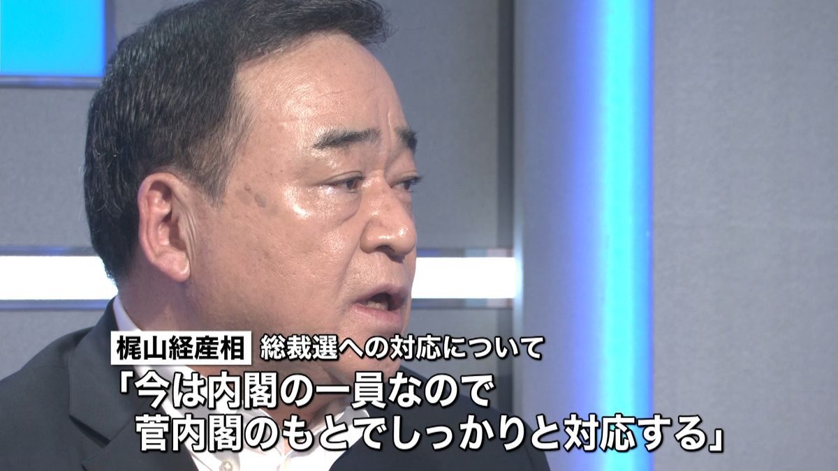 首相がよりわかりやすく説明を～梶山経産相