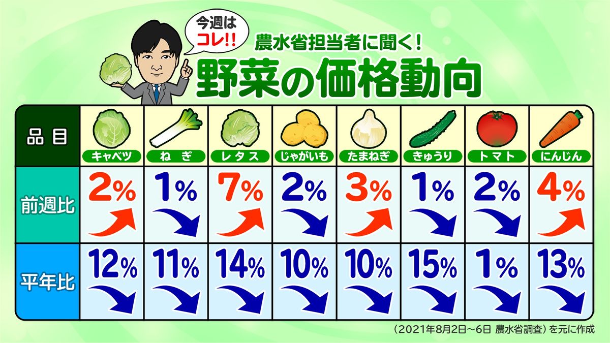 「レタスは今後、安くなる見込み」～農水省