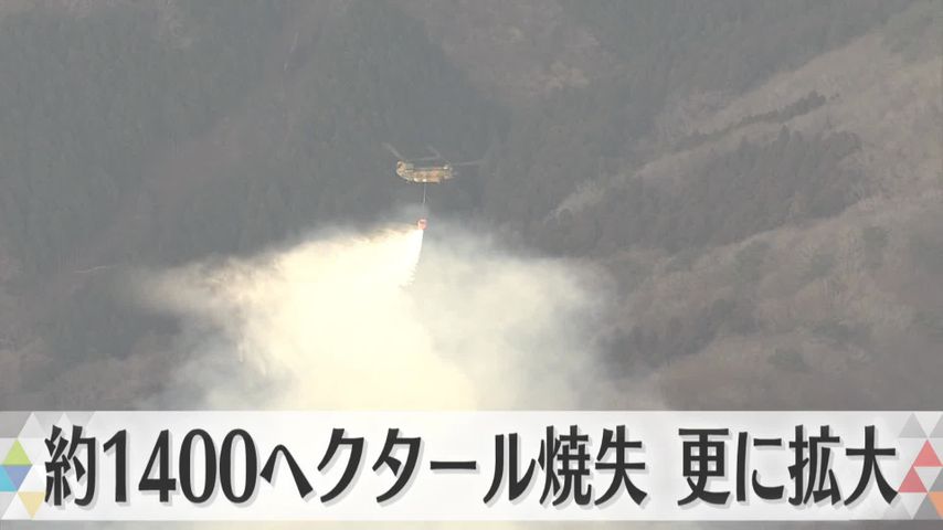 日テレNEWS24 24時間ライブ配信中