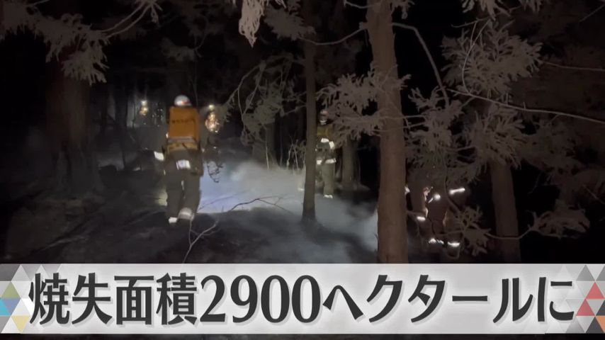 日テレNEWS24 24時間ライブ配信中