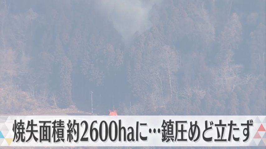 日テレNEWS24 24時間ライブ配信中